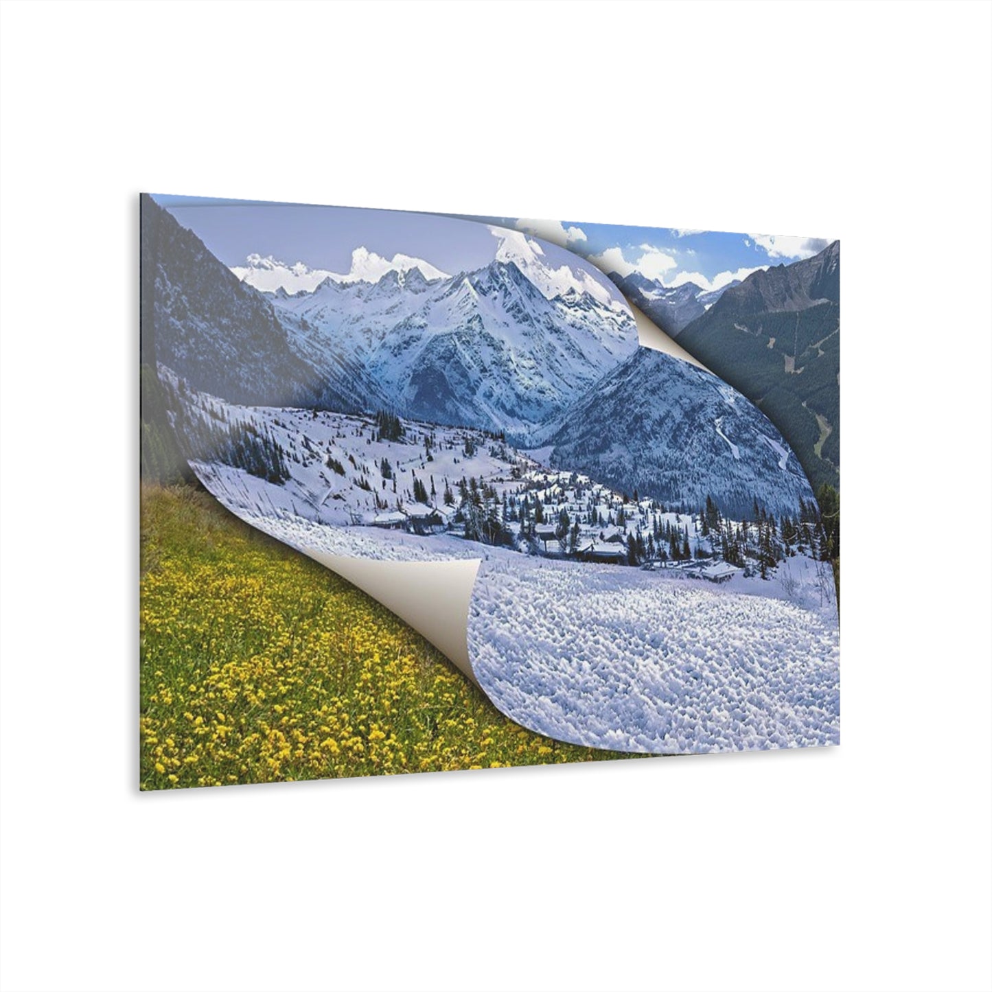 Winter To Spring Acrylic Print